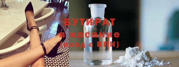 хмурый Ельня