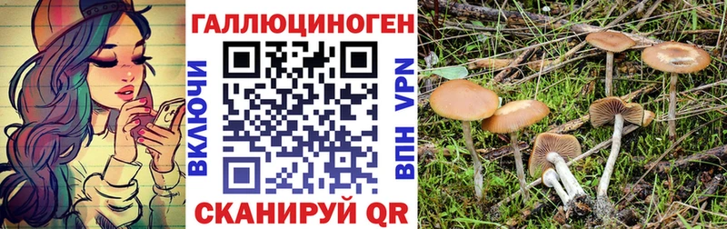 Псилоцибиновые грибы Magic Shrooms Лабытнанги